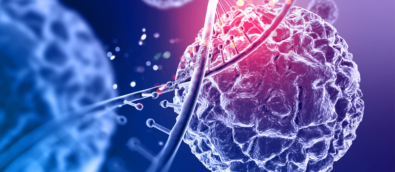 Understanding the Role of a Medical Oncologist in Your Treatment Journey